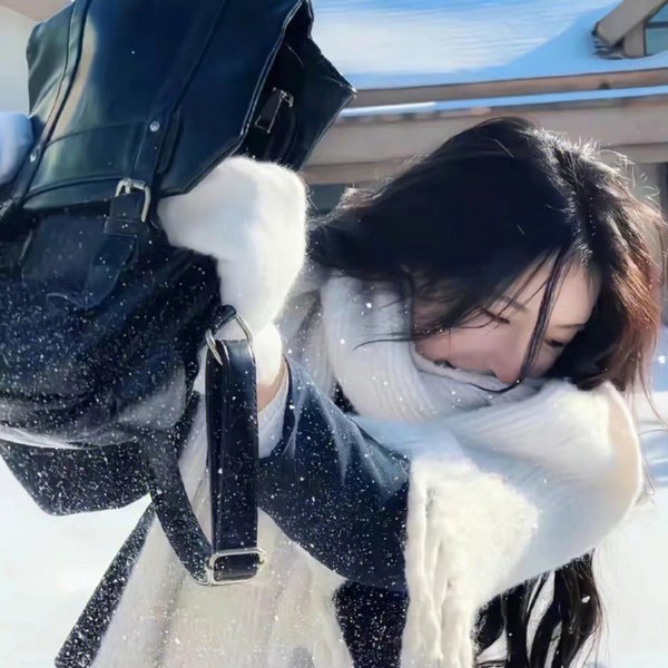风流女贼